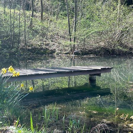 Villa Stressless - für Geimpfte und Genesene Traisen Exterior foto
